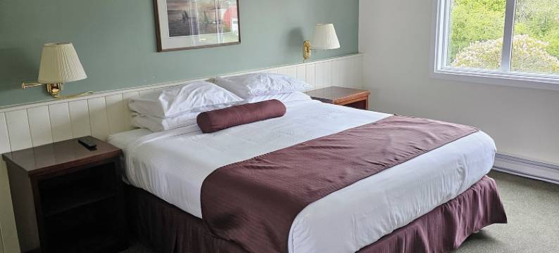 环太平洋汽车旅馆(Pacific Rim Motel)图片