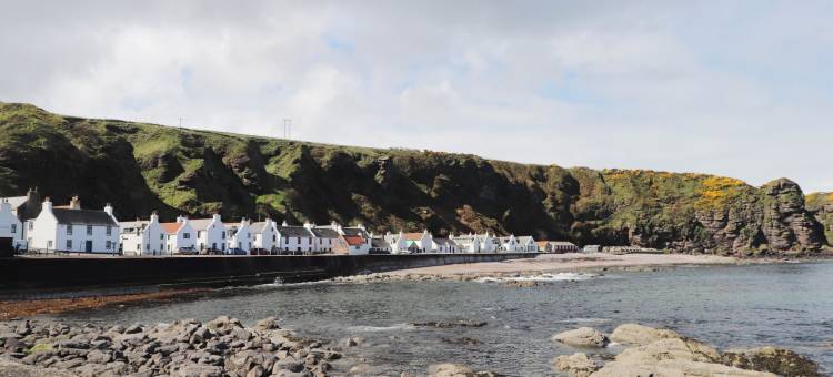 劳雷尔斯(The Laurels)图片