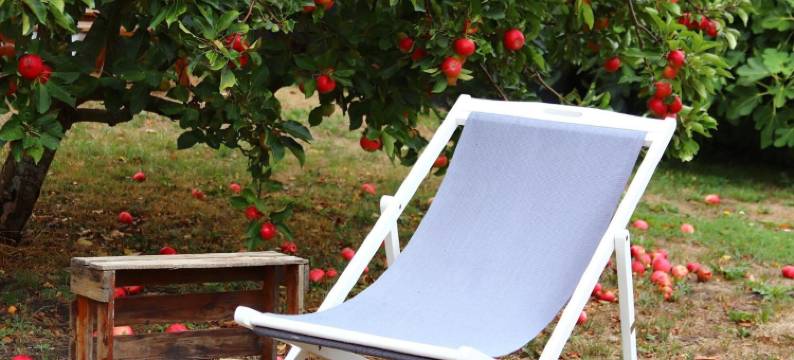 卡恩酒店(Kanns Hotel)图片