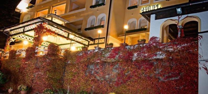 豪普酒店餐厅(Hotel Restaurant Häupl)图片