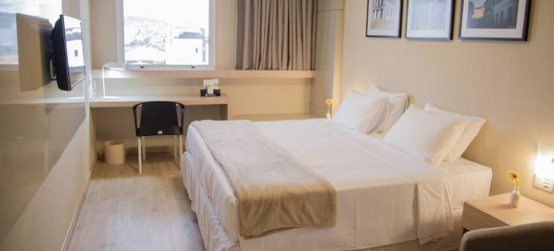 蒙特斯克拉罗斯城际酒店(Intercity Montes Claros)图片