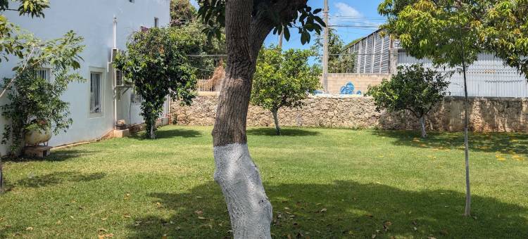 Carambola Rooms图片