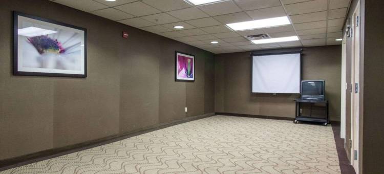 舒适套房酒店-中心/44号州际公路(Comfort Suites Central-I-44)图片