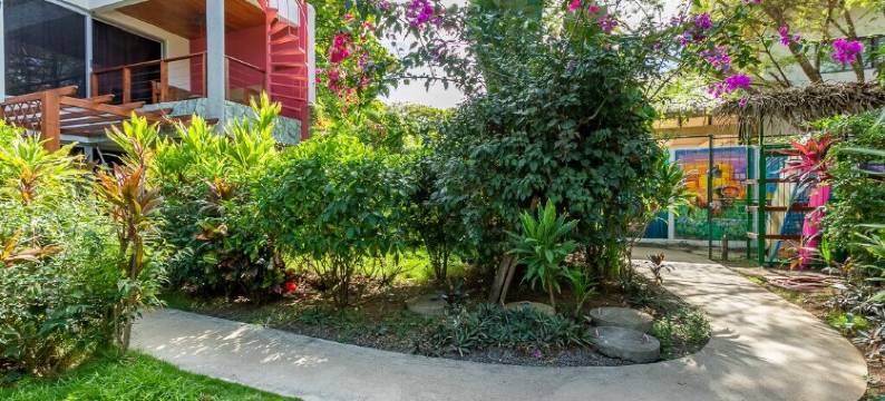 Iluminar Beachfront Suite灯火海滨套房(Iluminar Beachfront Suites)图片