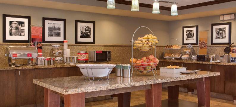 林肯东北I 80号欢朋套房酒店(Hampton Inn & Suites Lincoln Northeast/I-80)图片