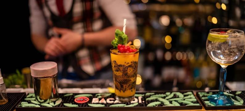 雷弗艾瑞克森酒店(Hotel Leifur Eiriksson)图片