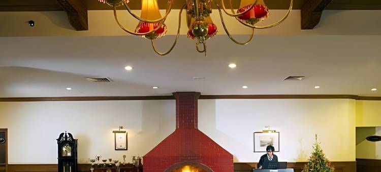 乌塔卡蒙德翡翠公园酒店(Gem Park Ooty)图片