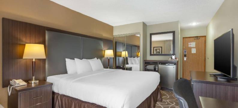 伯灵顿舒适酒店(Comfort Inn)图片