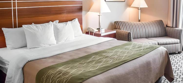 凯艺酒店(Quality Inn)图片