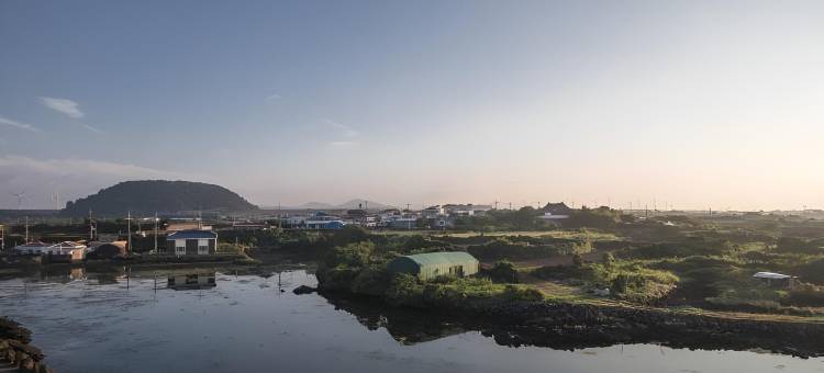 济州岛飞进之家民宿(Jeju Flyjin House Pension)图片