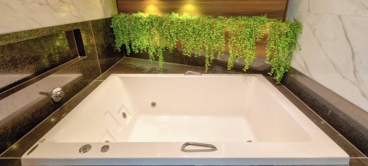 戈亚尼亚假日酒店(Holiday Inn Goiania)图片