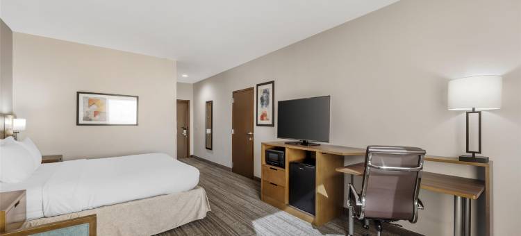 贝斯特韦斯特格林橡树套房酒店(Best Western Green Oak Inn  Suites)图片