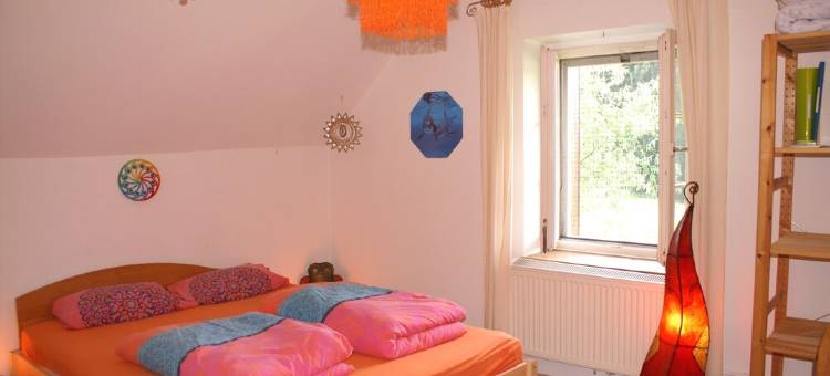 Llama and Maine Coon farm in sunny  and secluded location in Biederbach 3 rooms图片