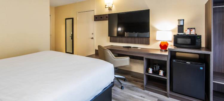 速 8 酒店(品质酒店查塔姆群岛, ON)(Quality Inn)图片