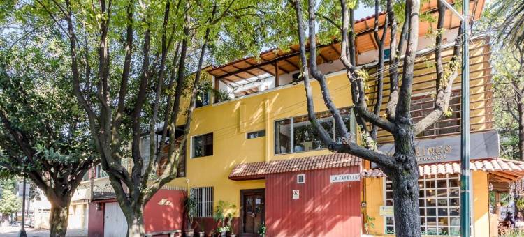 OYO安苏雷斯之家(OYO Casa Anzures Mexico City)图片