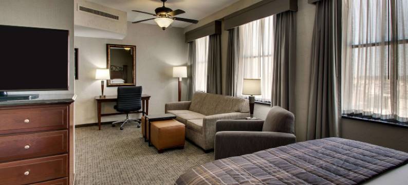 圣安东尼奥河畔德鲁里广场酒店(Drury Plaza Hotel San Antonio Riverwalk)图片