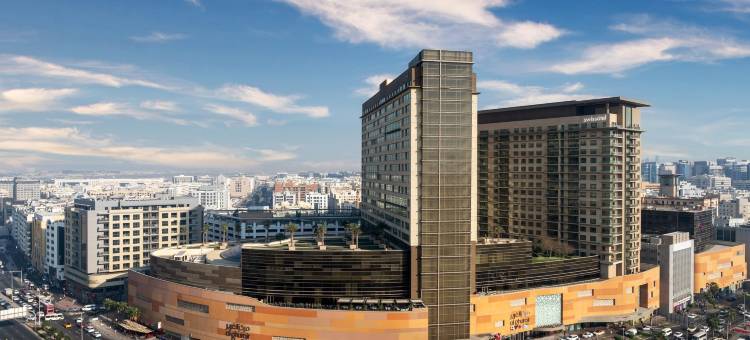 古赖尔瑞士酒店(Swissôtel Al Ghurair)图片