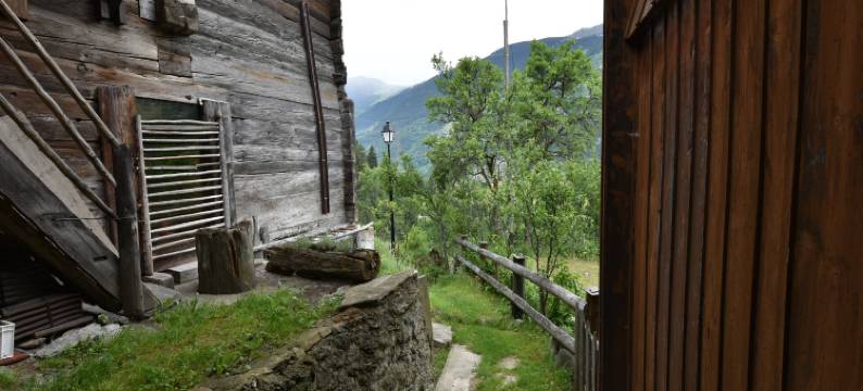 Cozy Stay near Aletsch图片