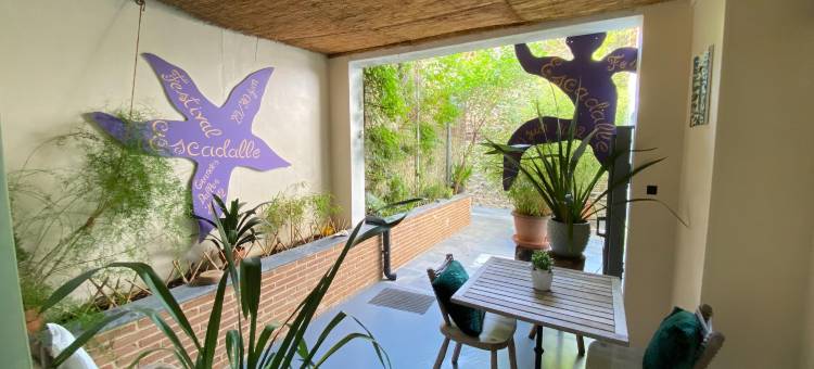 Apartment in Fécamp near Alabaster Coast图片
