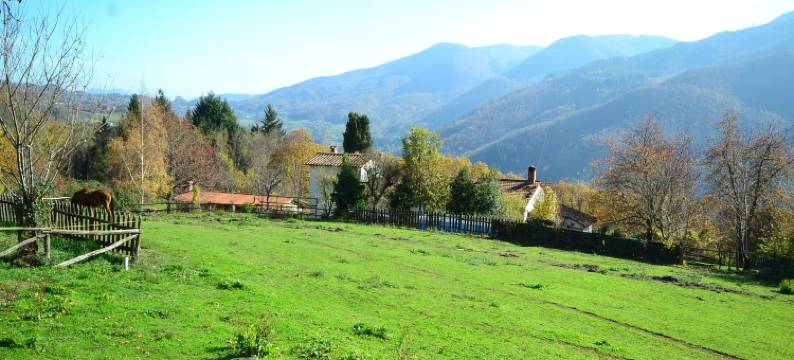 Tranquil Stone Chalet图片