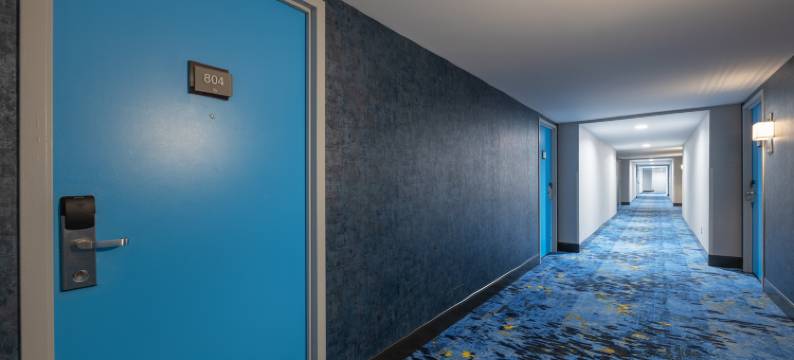 辛蒙酒店悉尼(The Simon Hotel Sydney)图片