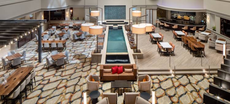 拉雷多希尔顿希尔顿安泊酒店(Embassy Suites by Hilton Laredo)图片