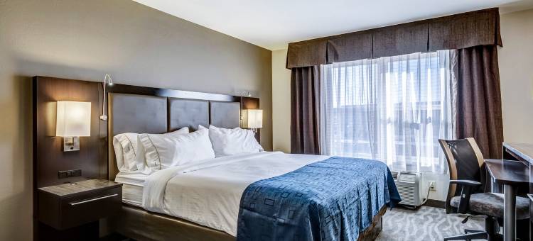 智选假日套房酒店圣路易斯西奥法隆(Holiday Inn Express & Suites ST. LOUIS WEST-O'FALLON by IHG)图片