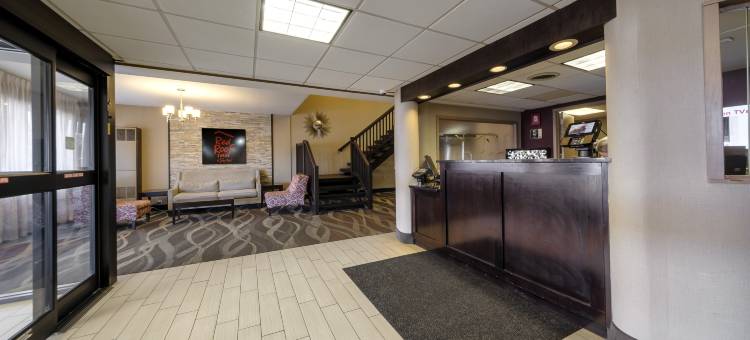 红屋顶酒店及套房纽堡 - 斯图尔特机场/西点(Red Roof Inn & Suites Newburgh - Stewart Airport/ West Point)图片