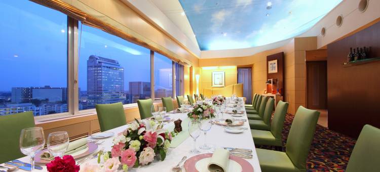 筑波日航酒店(Hotel Nikko Tsukuba)图片