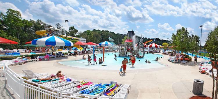 Holiday Inn 斯泰茨伯勒的大学区(Holiday Inn Statesboro-University Area)图片