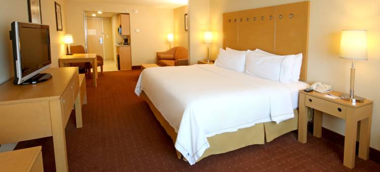 Holiday Inn Express & Suites CD. Juarez - Las Misiones图片