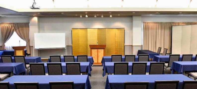 新指挥官酒店-大阪寝屋川(New Commander Hotel Osaka Neyagawa)图片