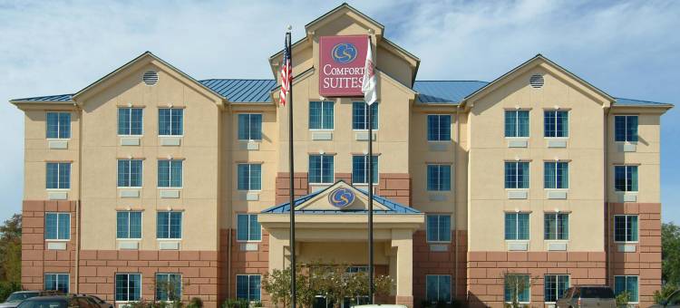 新奥尔良东舒适套房酒店(Comfort Suites New Orleans East)图片