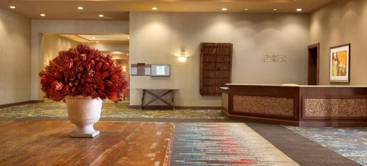 阿尔伯克基希尔顿安泊酒店(Embassy Suites by Hilton Albuquerque)图片