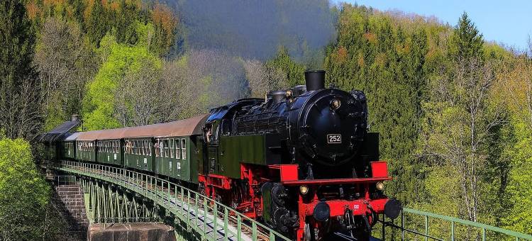 瑞斯蓝福酒店(Landgasthof Hotel Rebstock)图片