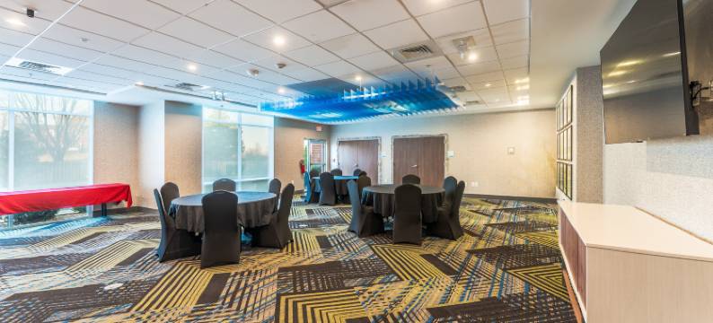 洲际酒店集团智选假日酒店及套房纳什维尔北 - 斯普林菲尔德(Holiday Inn Express & Suites Nashville North - Springfield by IHG)图片