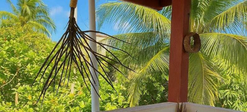 Caribe Itacimirim 宾馆(Pousada Caribe Itacimirim)图片