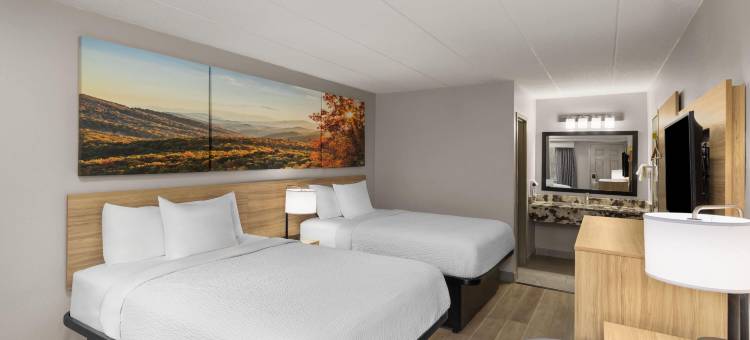 西维吉尼亚查理斯顿戴斯酒店(Days Inn by Wyndham Charleston WV)图片