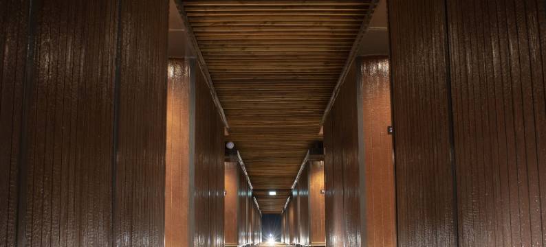 瓦勒纳尔罗斯奥利弗丽柏酒店(Park Inn by Radisson Los Olivos de Vallenar)图片