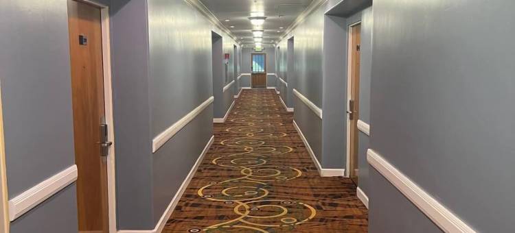 舒适酒店-近赫斯特城堡-坎布里亚(Comfort Inn Near Hearst Castle - Cambria)图片