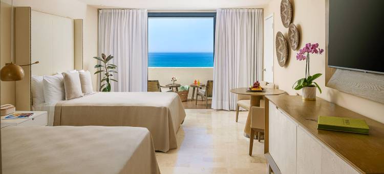 洛斯卡波斯天堂全包式度假村 – 限成人(Paradisus Los Cabos - Adults Only)图片