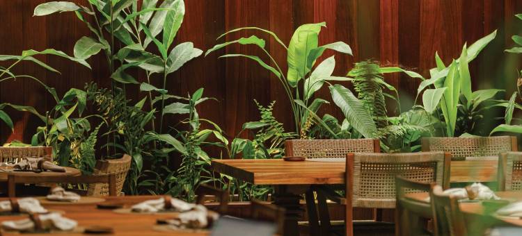帕玛尔海滩小屋(Palmar Beach Lodge)图片