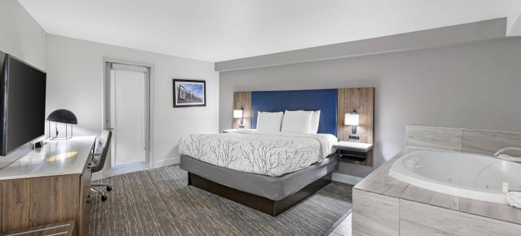 丹佛东方贝斯特韦斯特精品酒店(Best Western Premier Denver East)图片