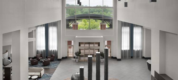 伯明翰胡佛希尔顿安泊酒店(Embassy Suites by Hilton Birmingham Hoover)图片