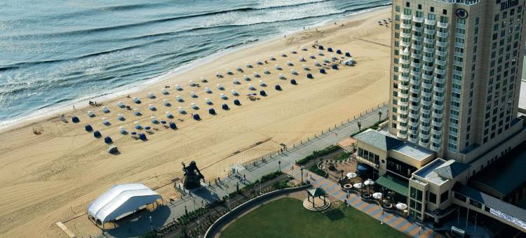 维吉尼亚海滩海滨希尔顿酒店(Hilton Virginia Beach Oceanfront)图片