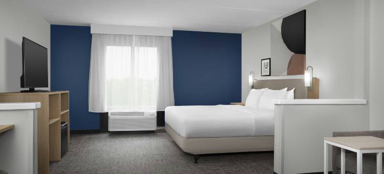 圣安东尼奥机场希尔顿 Spark 酒店(Spark by Hilton San Antonio Airport)图片