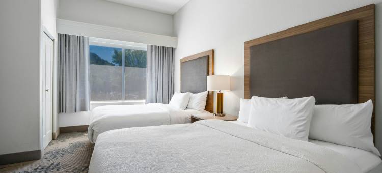 亚特兰大肯纳瑟SpringHill套房酒店(SpringHill Suites Atlanta Kennesaw)图片