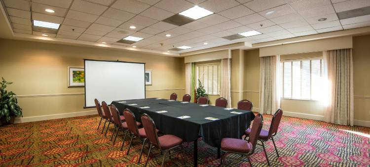 坦帕易勃尔历史区希尔顿花园酒店(Hilton Garden Inn Tampa Ybor Historic District)图片