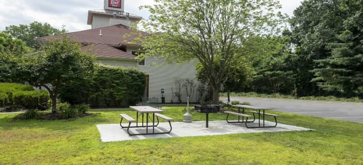 红顶酒店-克利夫顿公园(Red Roof Inn Clifton Park)图片
