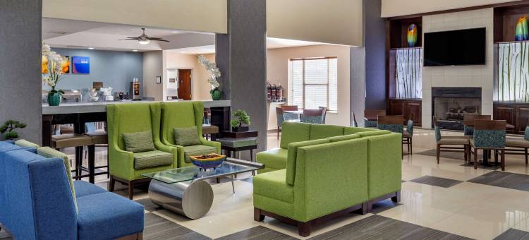 派恩维尔巴兰坦区舒适套房酒店(Comfort Suites Pineville - Ballantyne Area)图片